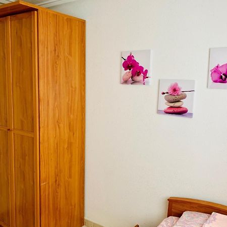 Apartamento- Félix de Fuente Torrevieja Extérieur photo