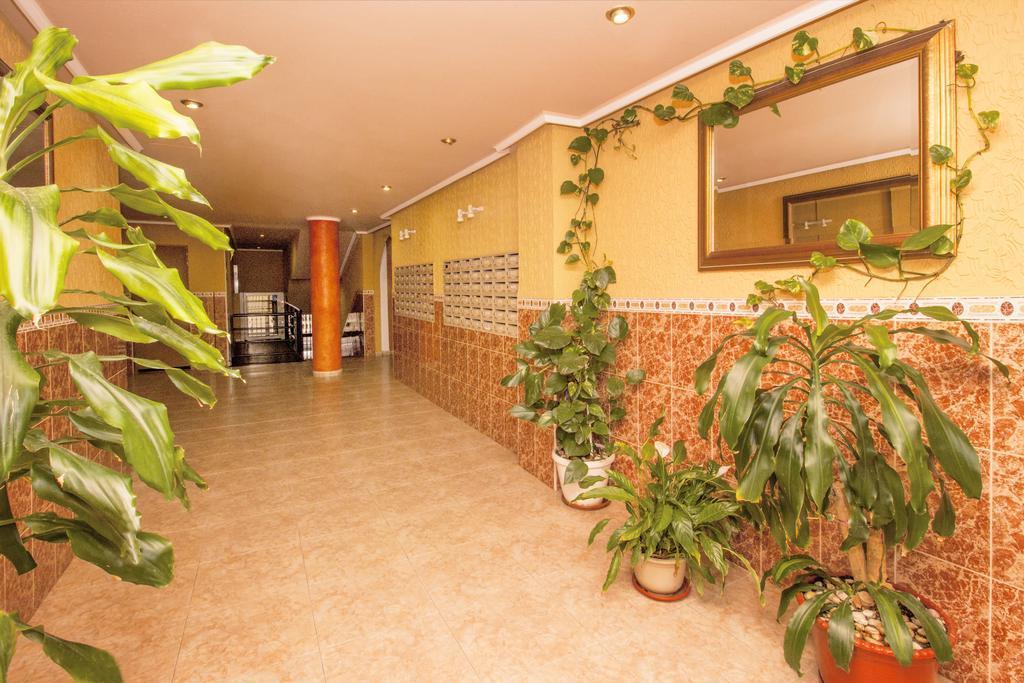 Apartamento- Félix de Fuente Torrevieja Extérieur photo