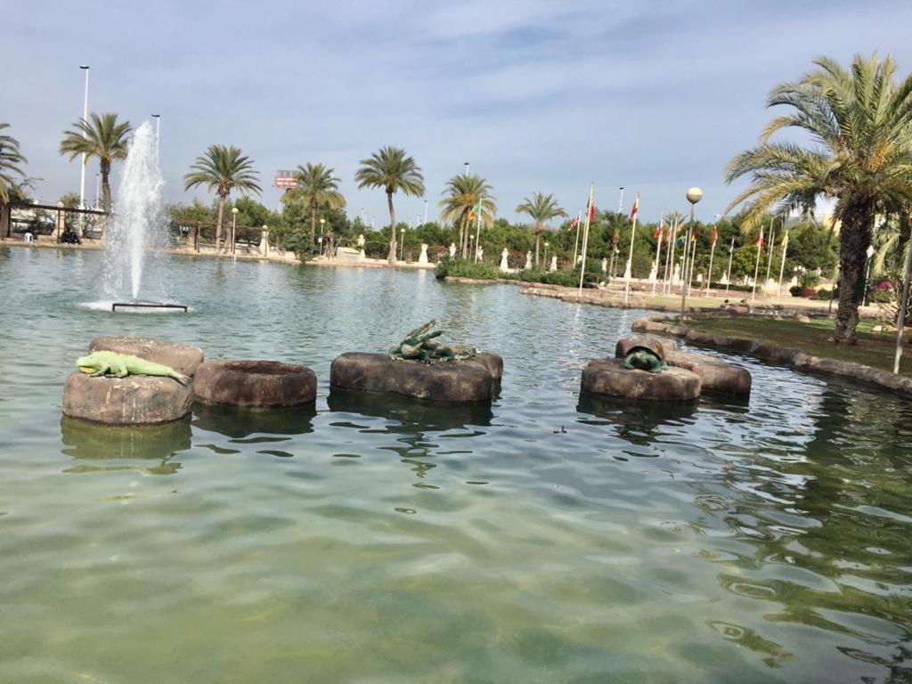 Apartamento- Félix de Fuente Torrevieja Extérieur photo